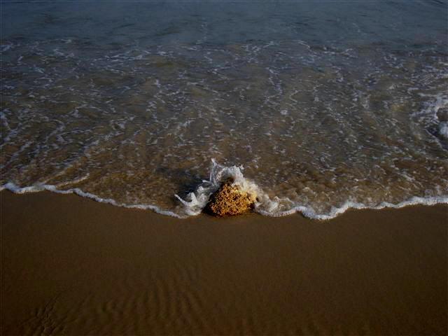 "Los Otros y el Ego" Foto:Alfredo Garrido