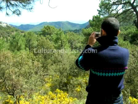 En la Sierra de la Alfaguara (Granada)