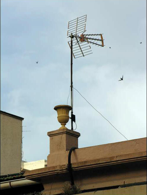 La falta de cuidado del Ayuntamiento hacia el edificio ha sido considerable