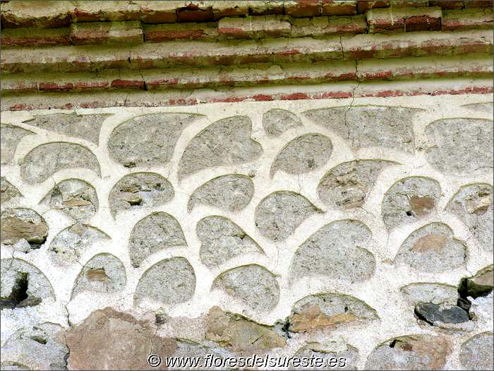 Detalle de las formas del esgrafiado: gotas de agua, hojas y corazones.