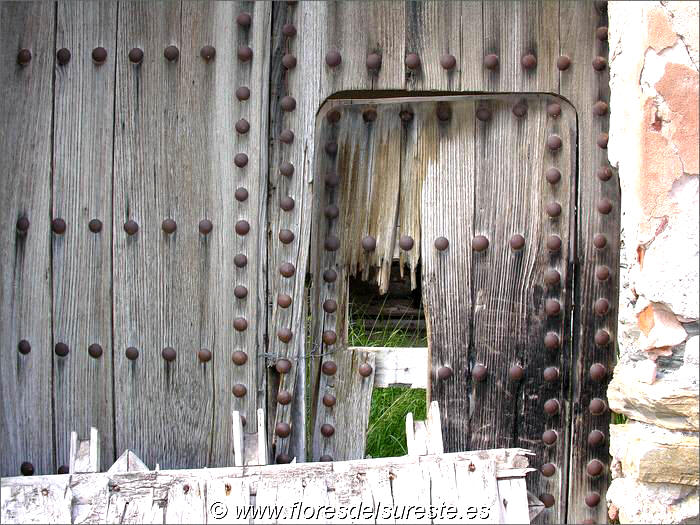 Estado de deterioro de la puerta de acceso