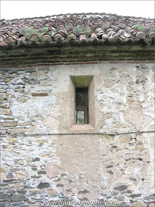 Ventanas abocinadas.