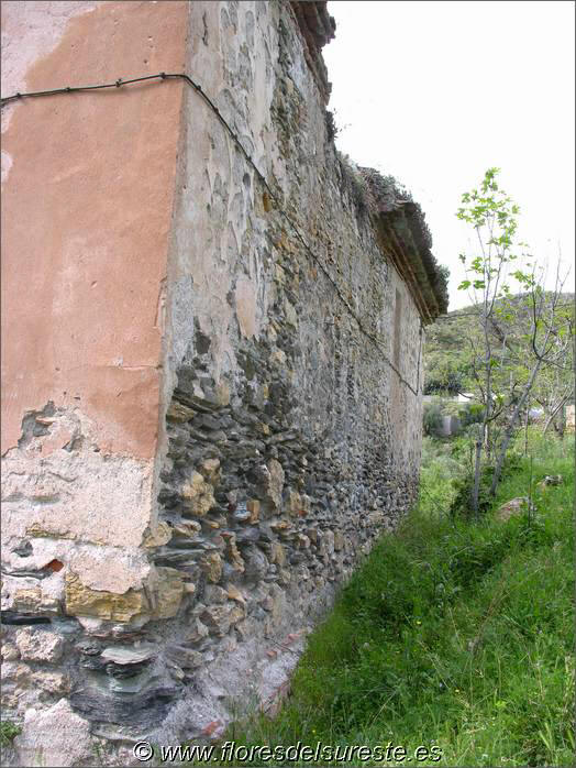 Los muros fueron construidos con piedras y ladrillos trabados con argamasa