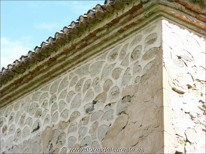 Decoracin esgrafiada en el muro y voladizos de tejas y ladrillos de  la cubierta.