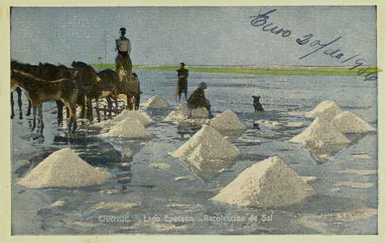 Postal francesa sobre la recolecta de la sal. Ao 1956. 