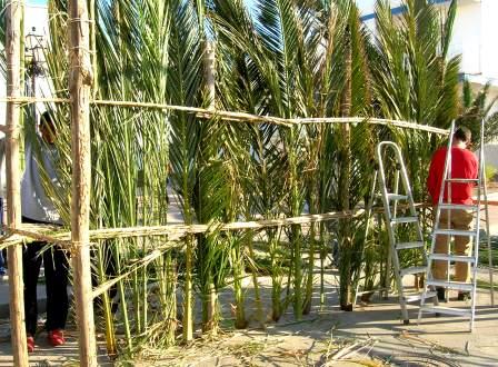 La parte inferior de la estrucrura hecha con ramas de palmera.Foto:M.Soler