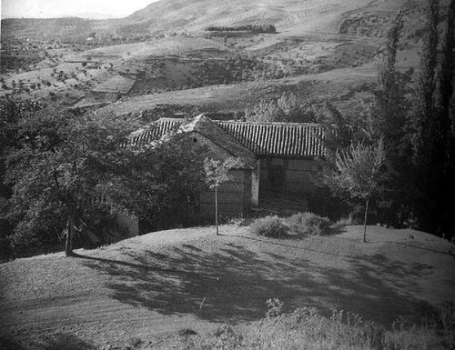 Barranco de Viznar (Granada) y olivo en el que fu fusilado  Federico Garca Lorca