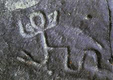 Petroglifo. Posible representación del mito de la serpiente ancestral. Fotografía de Fernando Urbina.
