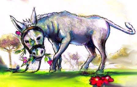 Platero comiendo florecillas.Dibujo infantil anónimo