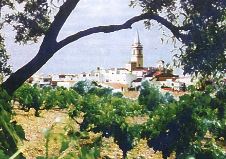 Panormica del pueblo de Trigueros (Huelva)