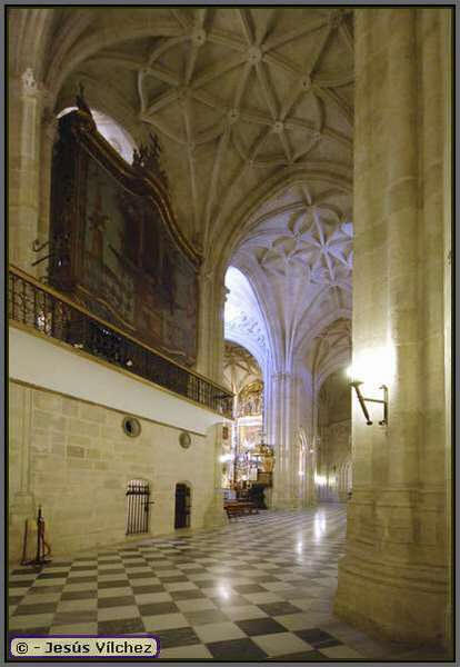 Órgano y bóvedas de crucería en la nave lateral de la Puerta de los Perdones.