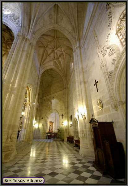 Órgano y bóvedas de crucería en la nave lateral de la Puerta de los Perdones.