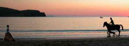 Paseando por la playa