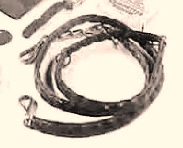 Detalle de la correa atada a al cintura de William Martin, con cadena para esposar el maletn a su mueca.