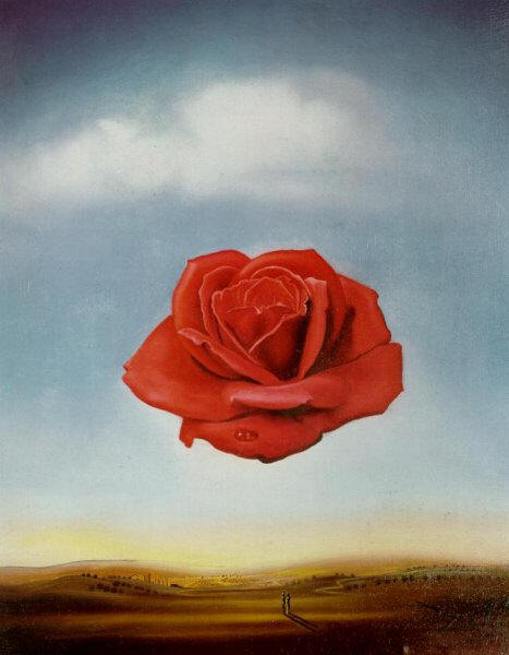 Rosa meditativa, de Salvador Dalí