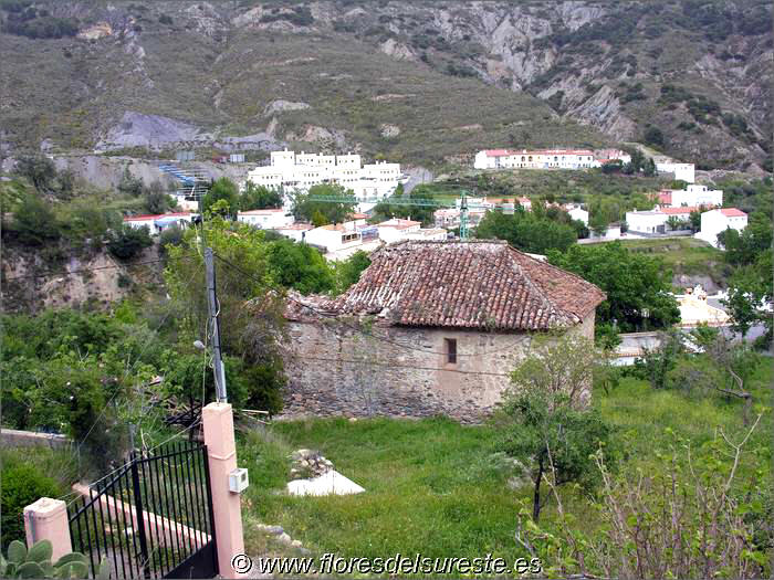 Ubicaci�n de la iglesia dentro del contexto urbano