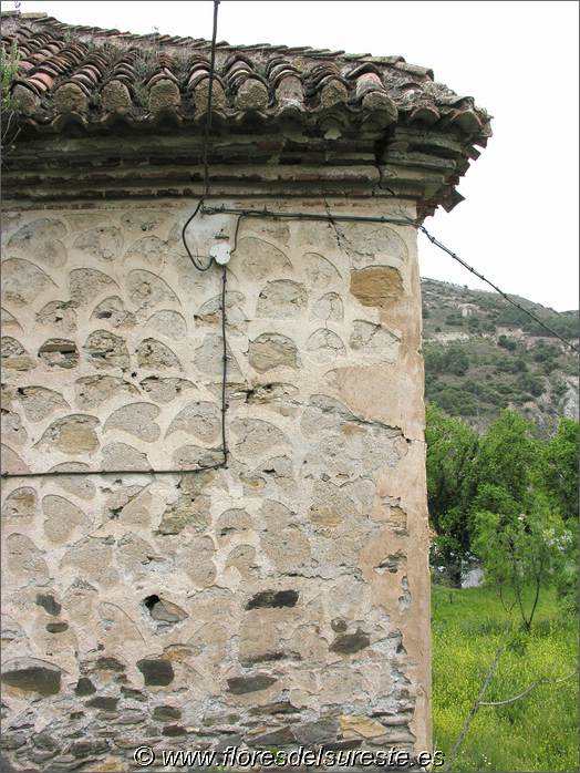 Esgrafiado en la decoraci�n de los muros exteriores.
